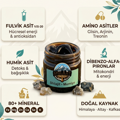 SHİLAJİT